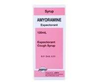 Amydramine Expectorant Syrup 120ml Bottle