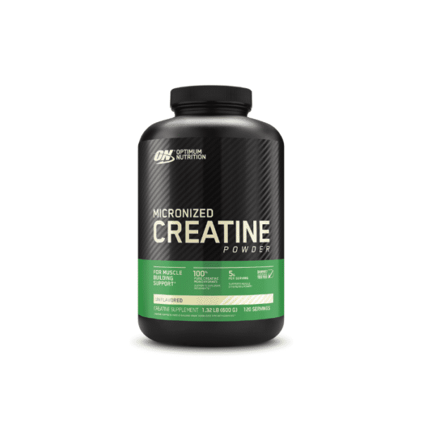 ON CREATINE 600GM
