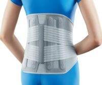 Deluxe Pro Lumbar Support