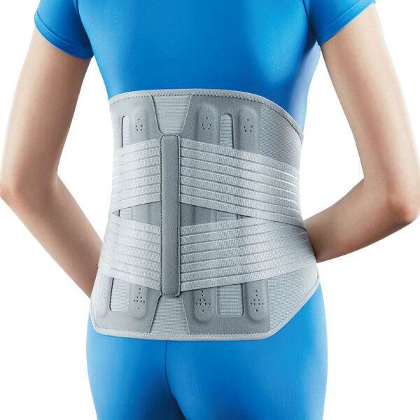 Deluxe Pro Lumbar Support