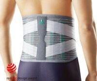 Deluxe Lumbar Support